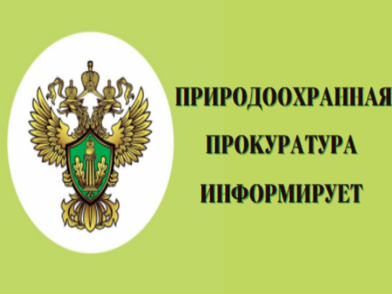 Завершена проверка о ненадлежащем содержании контейнерной площадки твердых коммунальных отходов в городском поселении «Пустошка».