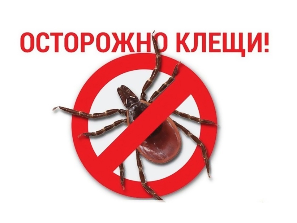 Осторожно клещи.