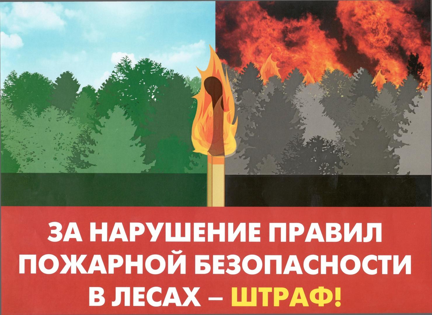 Об ответственности за нарушение правил пожарной безопасности в лесах.